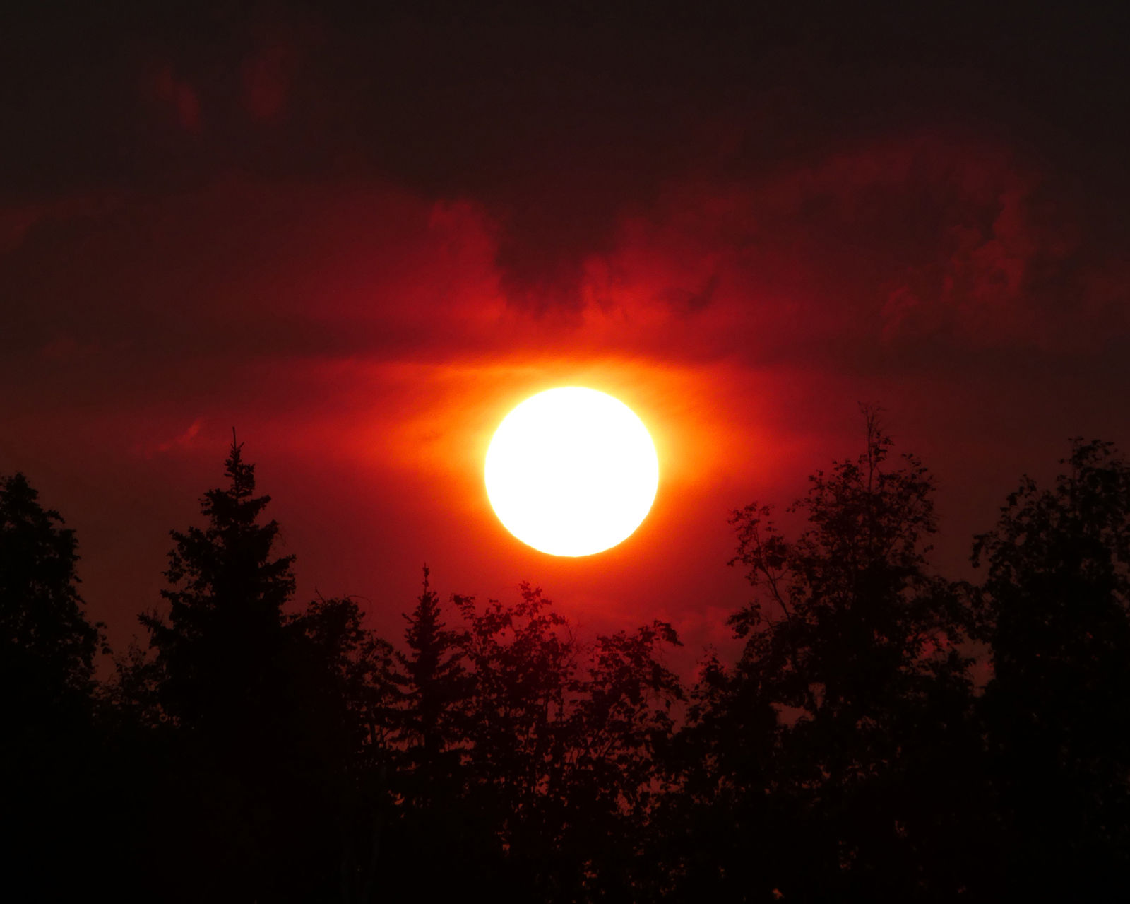 Fairbanks Midnight Sun Run